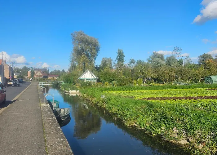 Casamia אמיינס